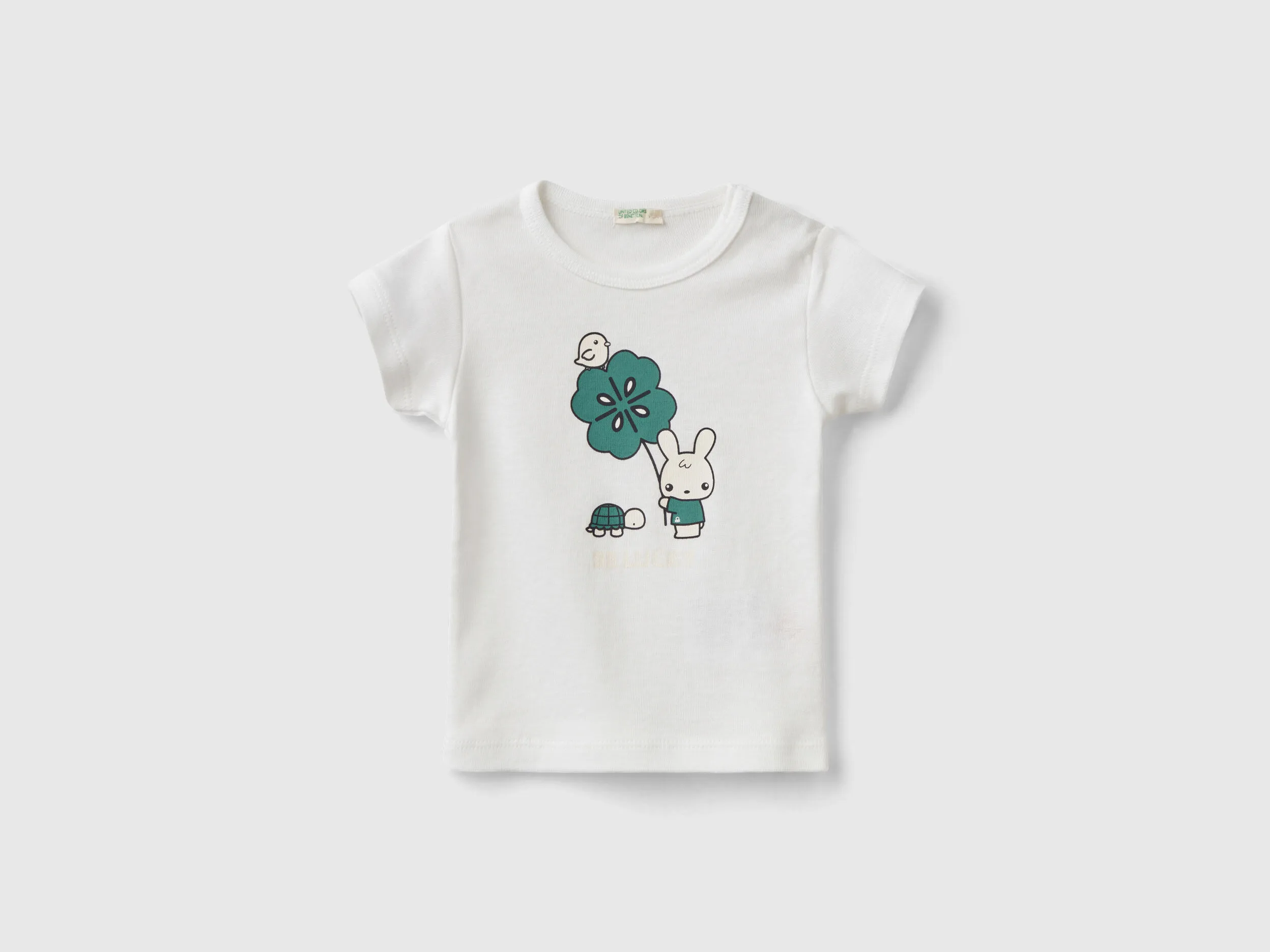 Camiseta de 100 % algodón orgánico